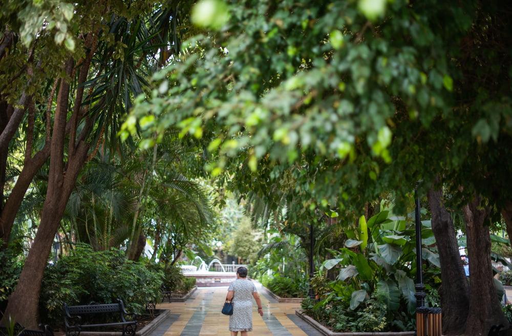 Alameda Park – el pulmón verde de Marbella