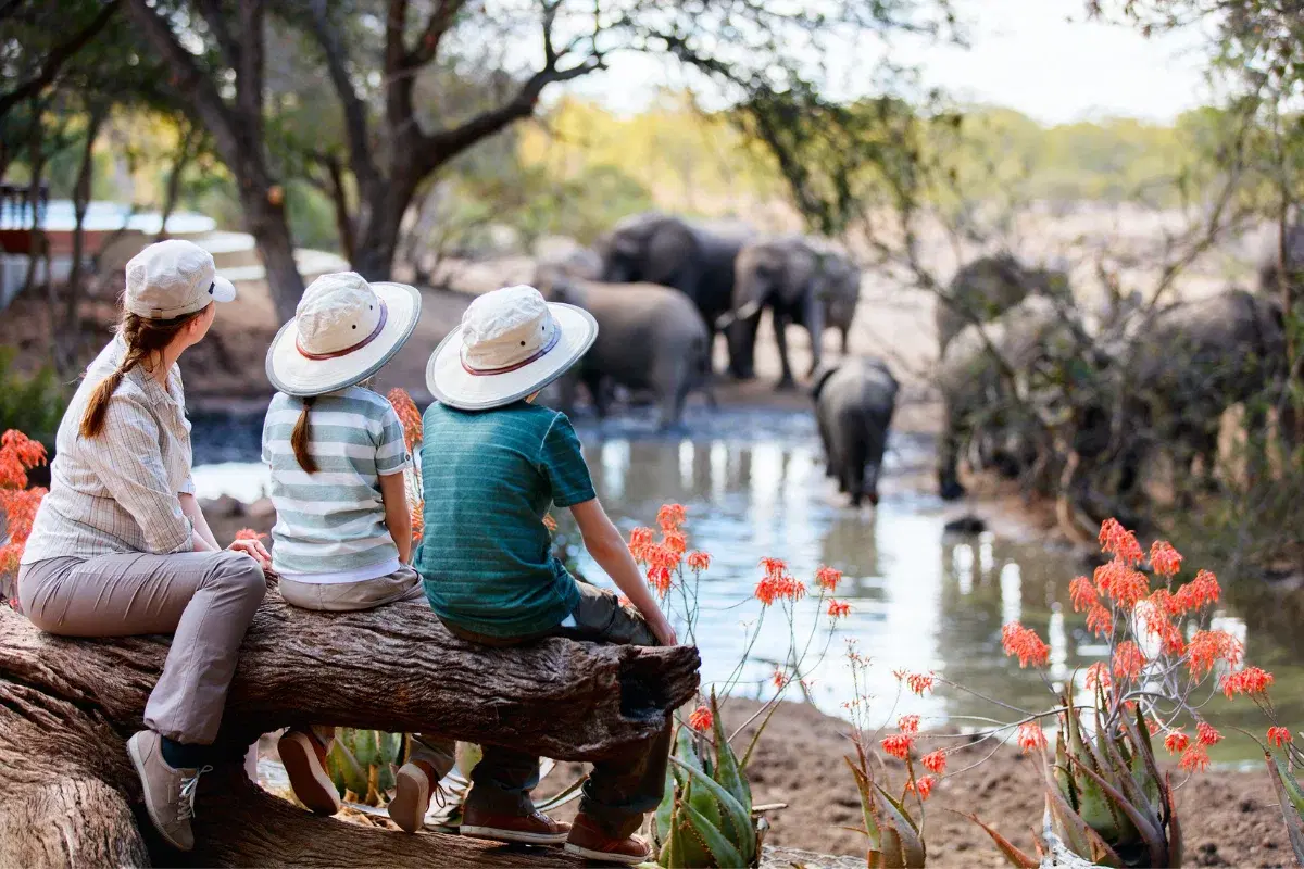 Admire animales insólitos y exóticos en la Costa del Sol
