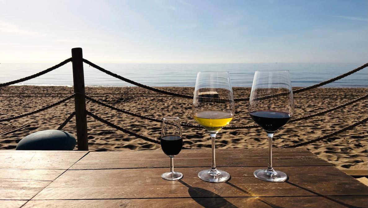 Vinos españoles, o de Rioja a Jerez