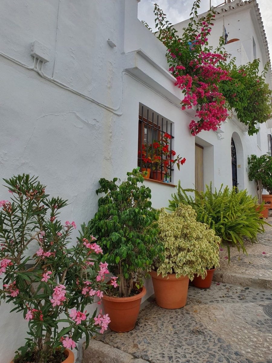 Axarquía y Frigiliana, un paseo lleno de historia y curiosidades