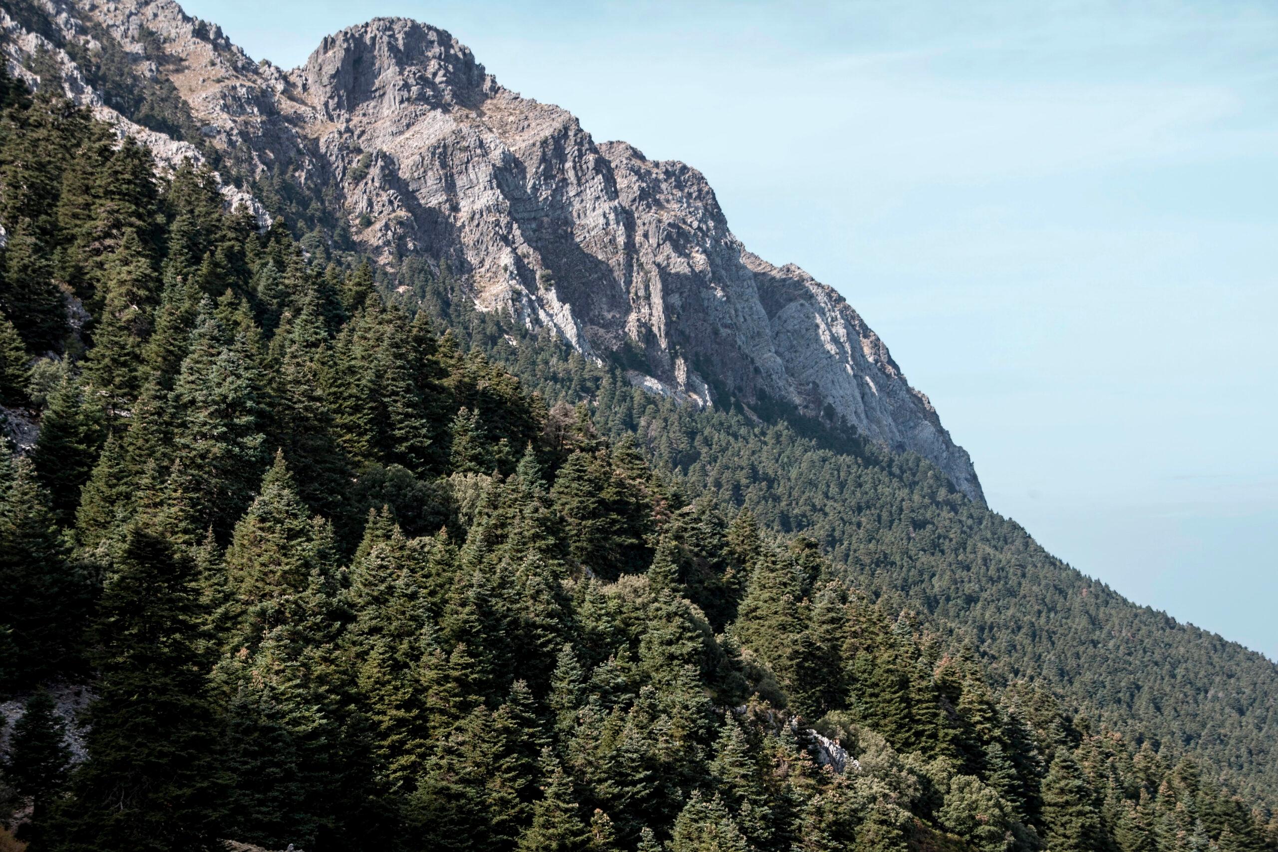 Sierra de Grazalema y el mayor bosque de abetos de España