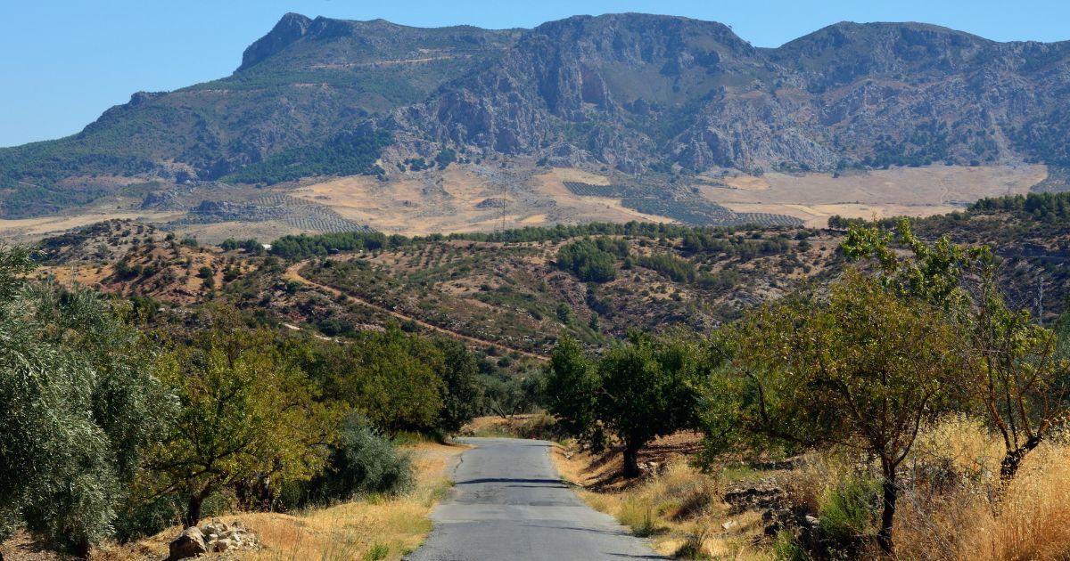 Parque Nacional de la Sierra de las Nieves: naturaleza salvaje a 30 km de Marbella